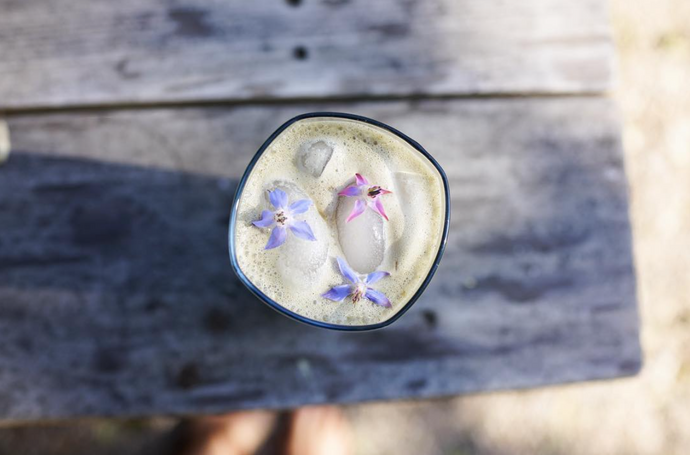 SPROUTED ALMOND MILK HERBAL MOCHA